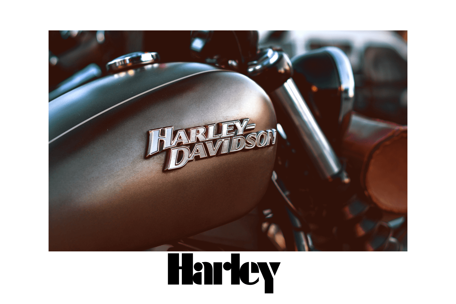 Motopsychcle Showroom Locator - Motorcycle Showroom Locator